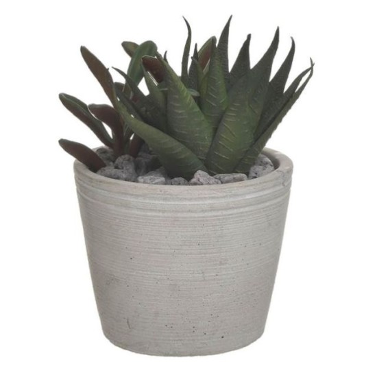 Φυτό σε γλαστράκι ανοιχτό πράσινο/γκρι 12x16εκ.