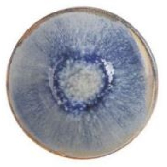 Μπωλ κεραμικό μπλε/καφέ 16x7εκ. «Aelia»