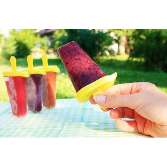 Σετ 4 φόρμες για γρανίτα/παγωτού πλαστικές 90ml