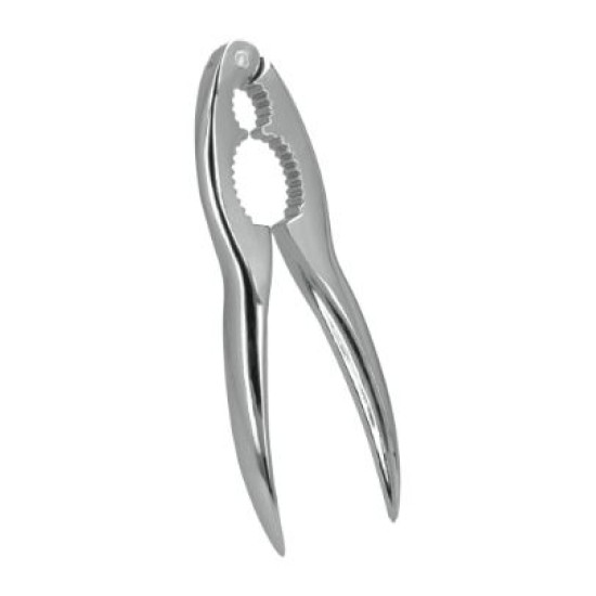 Καρυδοσπάστης χρωμίου