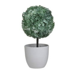 Φυτό σε γλαστράκι pl λευκό/πράσινο 12x25εκ.