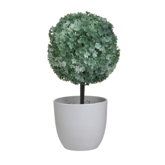 Φυτό σε γλαστράκι pl λευκό/πράσινο 12x25εκ.