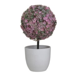 Φυτό σε γλαστράκι pl λευκό/ροζ 12x25εκ.