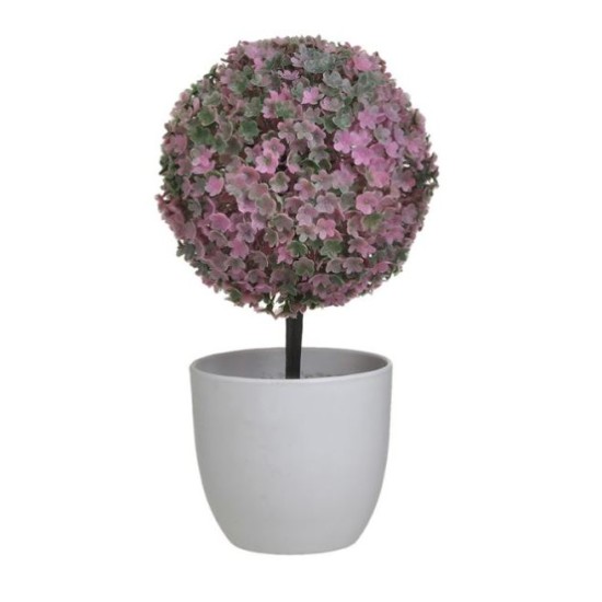 Φυτό σε γλαστράκι pl λευκό/ροζ 12x25εκ.