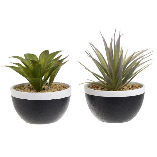 Φυτό σε γλάστρα 2 σχέδια 11x13εκ.