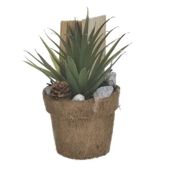 Φυτό σε γλαστράκι πράσινο/natural 10x20εκ.