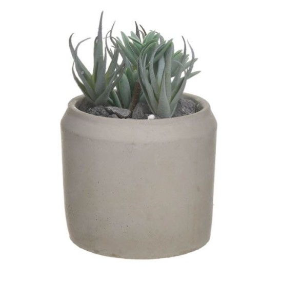 Φυτό σε γλαστράκι ανοιχτό πράσινο/γκρι 11x15εκ.