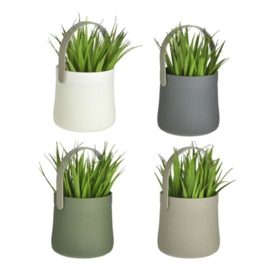 Διακοσμητικό φυτό σε γλάστρα 4 σχέδια 6x6x11εκ.