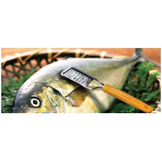 Ψαροκαθαριστής ανοξείδωτος με πλαστική λαβή 19εκ.