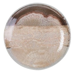 Πιάτο φρούτου 21εκ. new bone china Natura