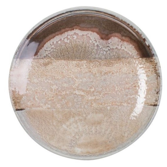 Πιάτο φρούτου 21εκ. new bone china Natura