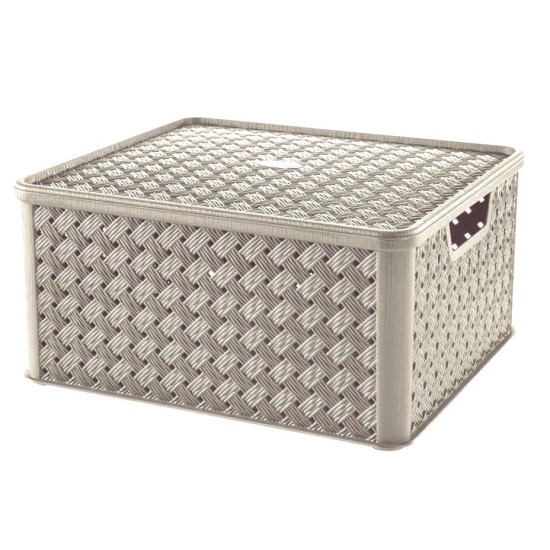 Κουτί αποθήκευσης πλαστικό rattan μπεζ 29x16,6x11,2εκ. 4L Arianna